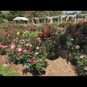 Meet your Posher, Leticia